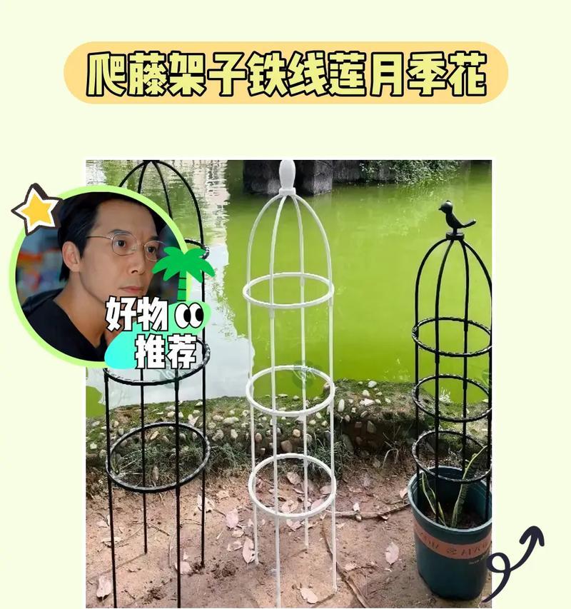 铁线莲塑料花架子的种植方法是什么？