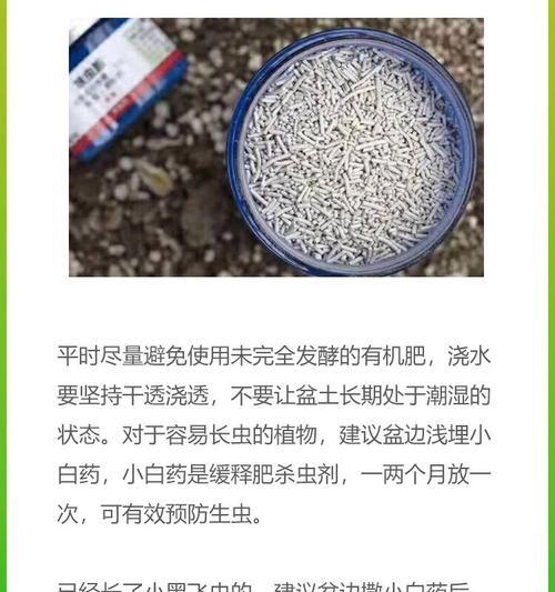 阳台花卉出现虫害的原因是什么？