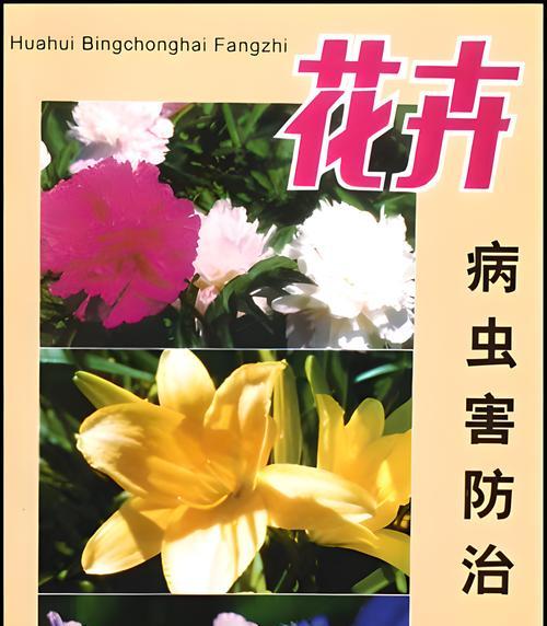 阳台花卉出现虫害的原因是什么？