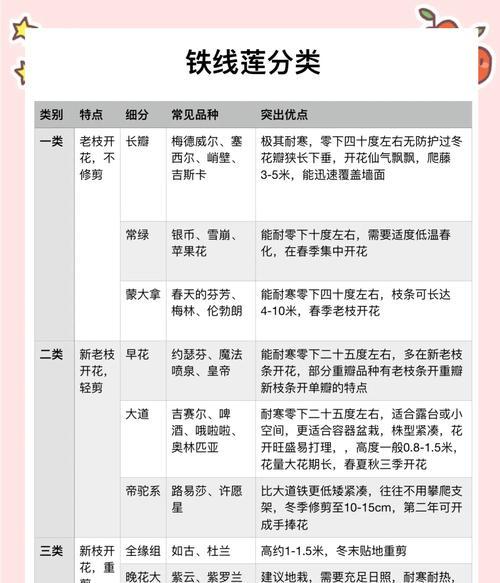 铁线莲盆栽长瓣的养护和管理技巧有哪些？