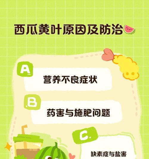 冬瓜新叶子发黄的原因及解决方法？