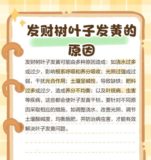 如何防止烫树叶子发黄？