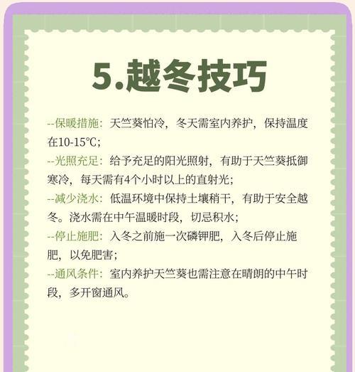 如何控制天竺葵的高度？有哪些有效措施？