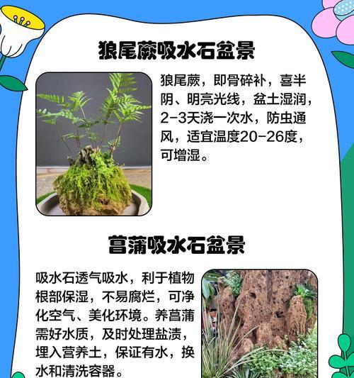 盆景多怎么摆放好看？如何合理布局提升观赏效果？
