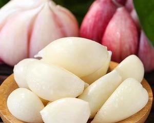 鄂米豆播种的最佳时间是什么时候？