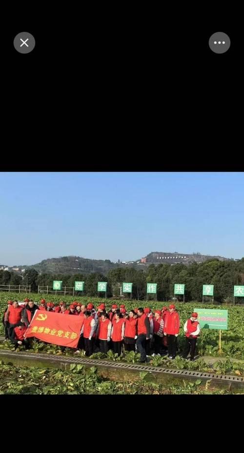 涪陵榨菜在江苏什么时候播种？播种的最佳时间是什么时候？