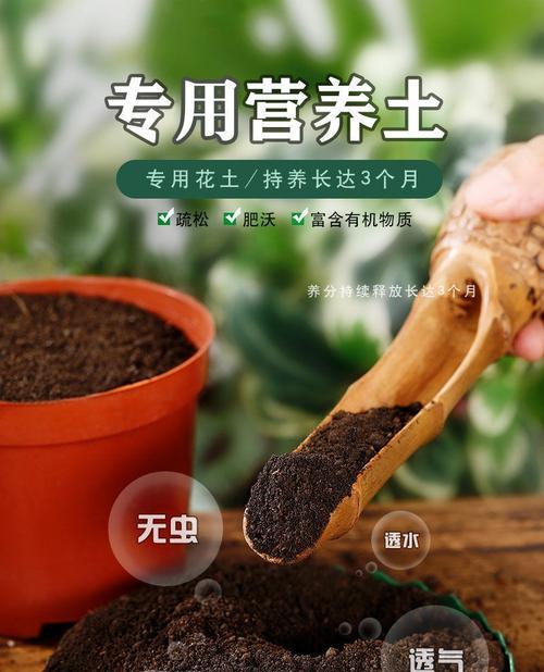 自制水养花土壤肥料的方法是什么？