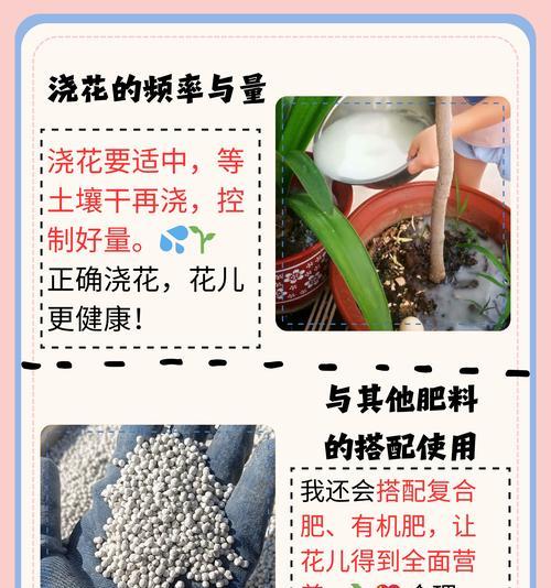 自制水养花土壤肥料的方法是什么？