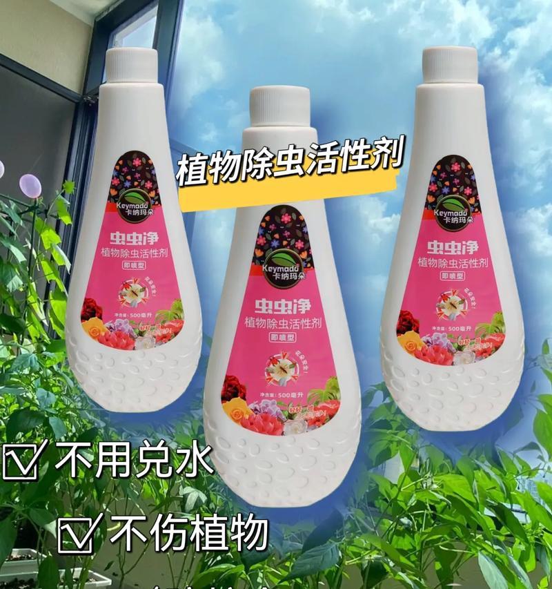 植物叶子发黄长虫该如何处理？