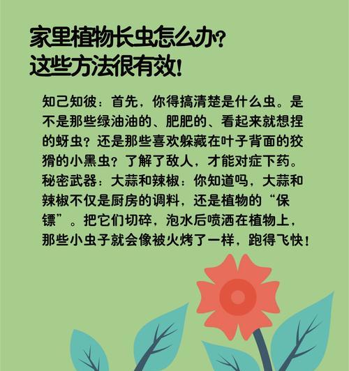植物叶子发黄长虫该如何处理？