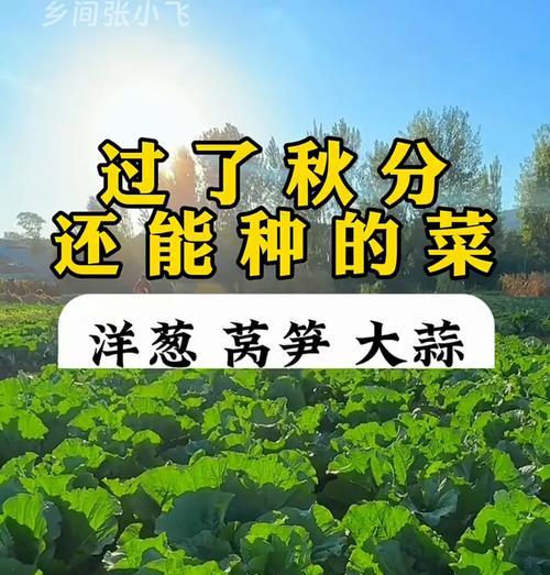 现在还能播种什么菜？适合秋季种植的蔬菜有哪些？
