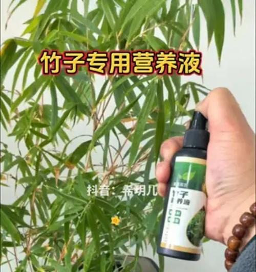 竹子专用营养液叶子发黄怎么办？如何正确使用营养液？
