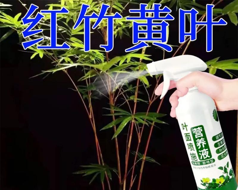 竹子专用营养液叶子发黄怎么办？如何正确使用营养液？