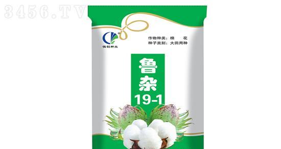 南方棉花种子的最佳播种时间是什么时候？