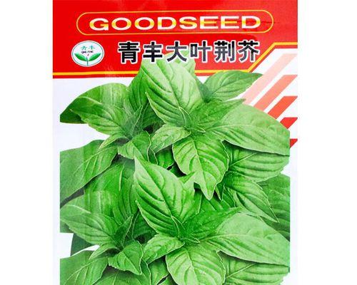 荆菜播种的正确步骤是什么？