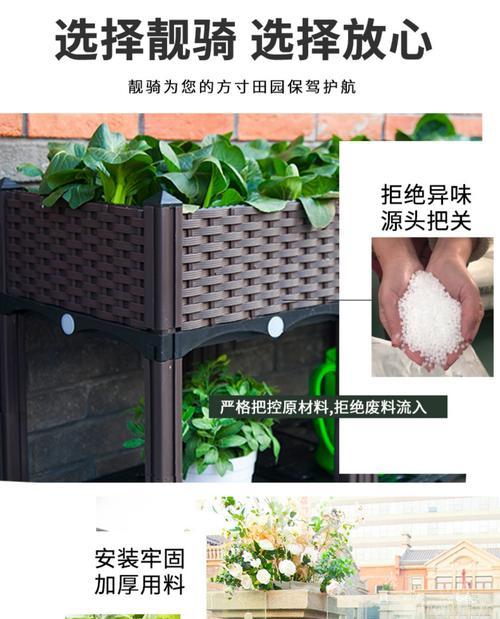 高丽花叶子发黄的可能原因是什么？