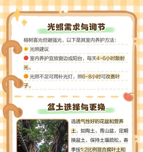 孟加拉榕叶子发黄怎么回事？可能的原因和解决方法是什么？