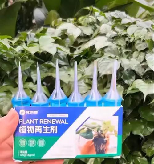 自制植物肥料的有效方法是什么？