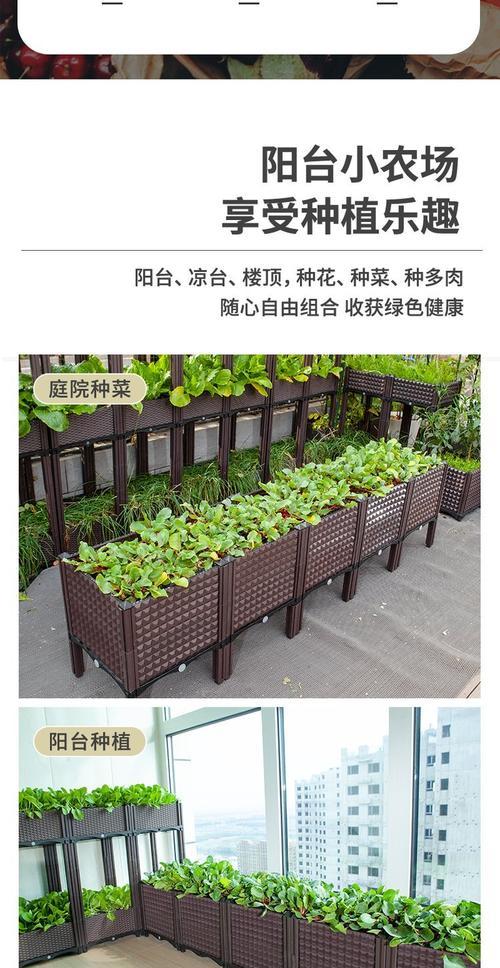 调制天竺葵蓝色颜料的方法有哪些？