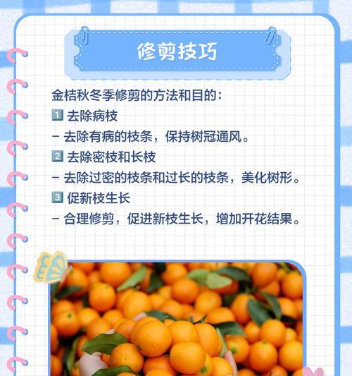 柑橘栽培的标准技术规范是什么？