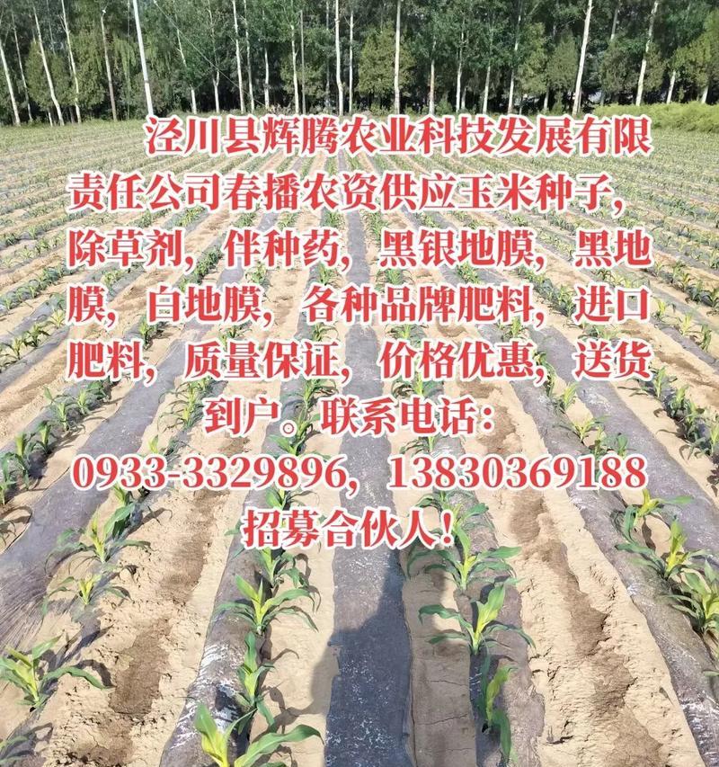 贵州春播早玉米播种时间？最佳播种期是什么时候？