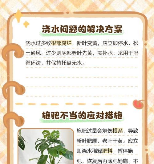 铂金钻绿植叶子发黄的解决方法是什么？