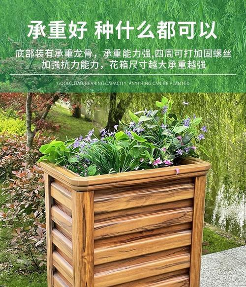 草胡椒栽培技术要点是什么？