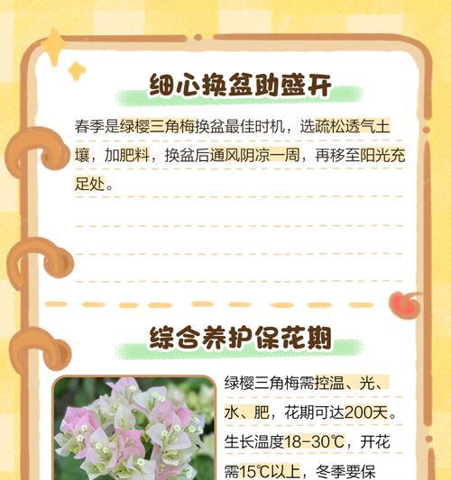 春季如何养护三角梅？三角梅的春季养护技巧是什么？