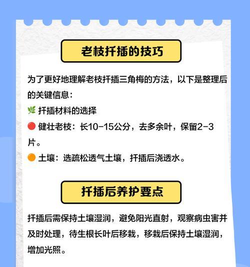 大桩扦插三角梅生根后移栽的正确步骤是什么？
