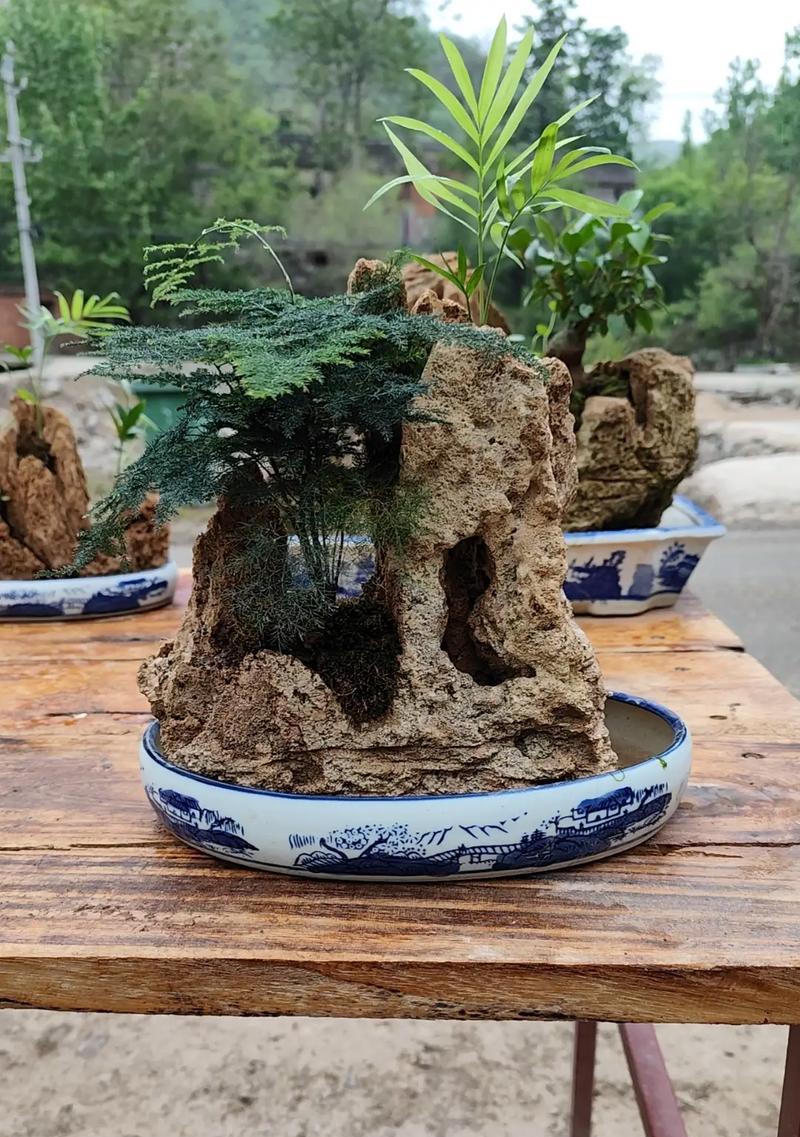 盆景造景如何才能更美观？