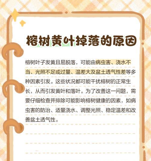 阳台吊树叶子发黄的解决方法是什么？