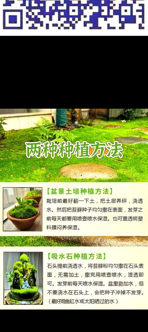水苔基质栽培技术要点是什么？