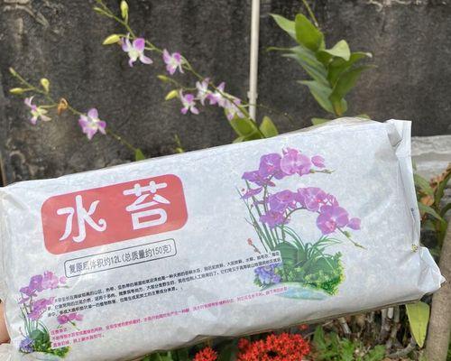 水苔基质栽培技术要点是什么？