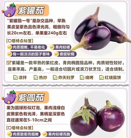有哪些观赏植物长得像茄子？如何区分茄子和其他相似植物？