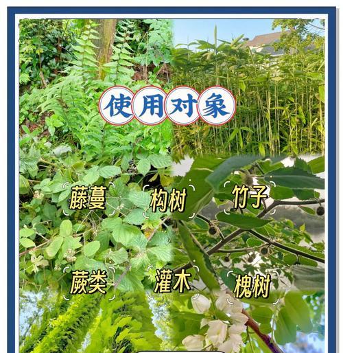 木本植物形成树瘤的方法有哪些？