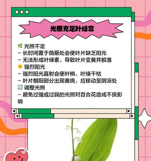 百合叶子因水淹发黄的补救措施？
