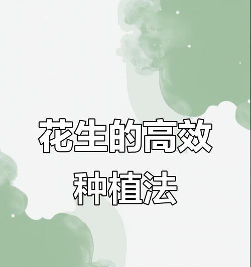 花生高效栽培的关键技术要点是什么？