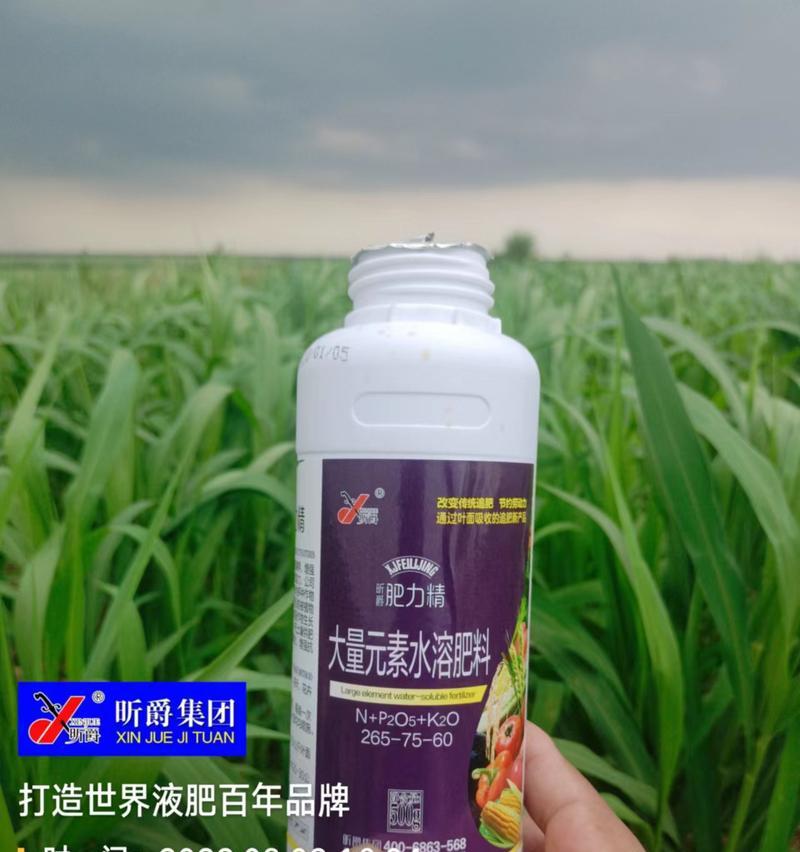 谷子自制肥料配方是什么？如何为谷子制作天然肥料？