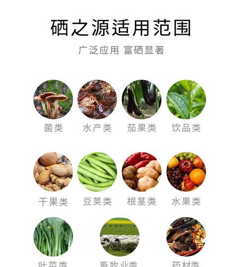 磨菇高产栽培的关键技术是什么？如何实现磨菇的高产？