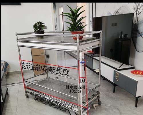 君子兰矫正花架的正确使用方法是什么？