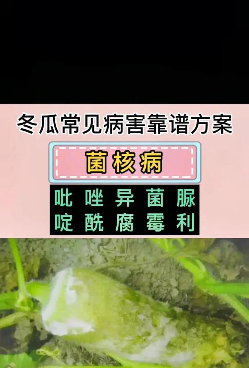 通草病虫害如何防治？有效防治方法有哪些？