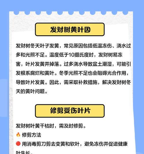 叶子发黄现象的描述方式是什么？