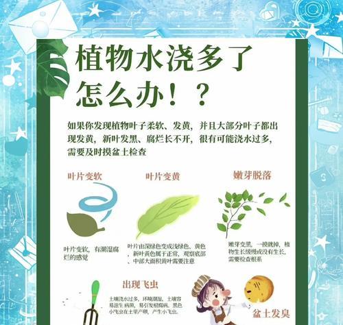 薄皮辣椒浇水技巧？有哪些浇水的窍门和注意事项？