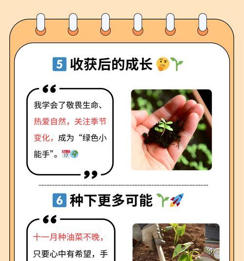 豆蔻什么时间播种？播种前需要做哪些准备工作？