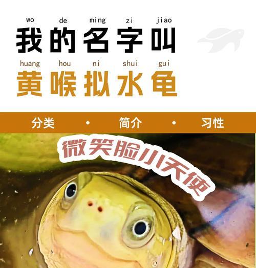 适合小青龟的水生植物有哪些？