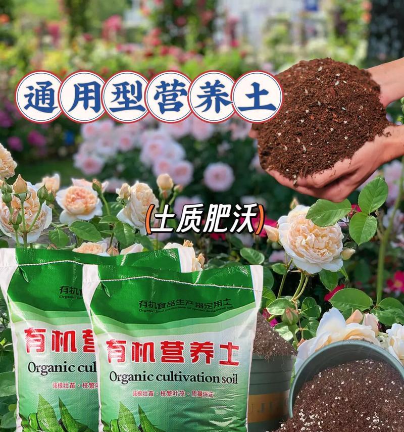 自制营养土肥料的步骤是什么？有哪些注意事项？