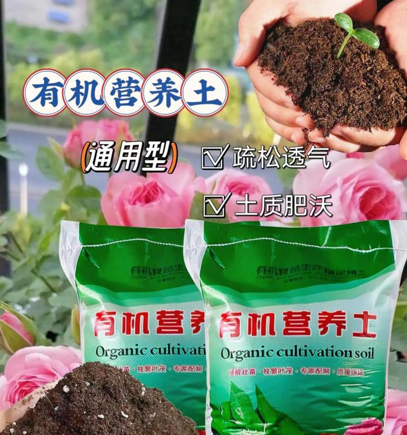 自制营养土肥料的步骤是什么？有哪些注意事项？