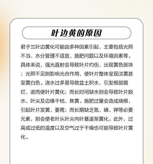 君子兰北美大黄的养护方法是什么？