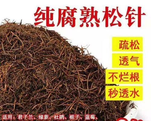 君子兰像树叶和松针混合的正确方法是什么？
