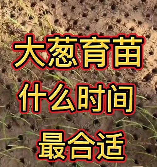 6月大葱播种的正确步骤是什么？
